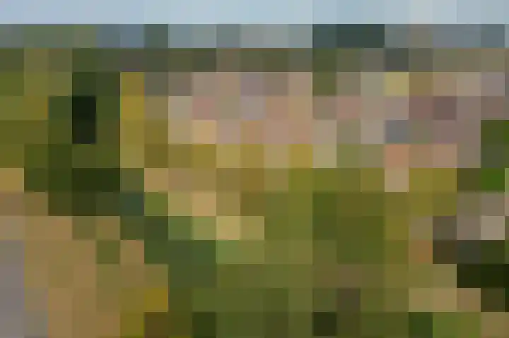 Laan van Welgelegen 157 Werkendam thumbnail 44