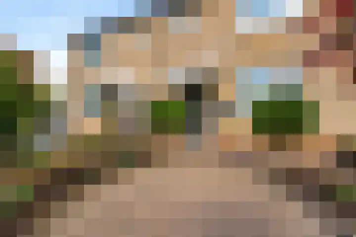 Laan van Welgelegen 157 Werkendam thumbnail 9