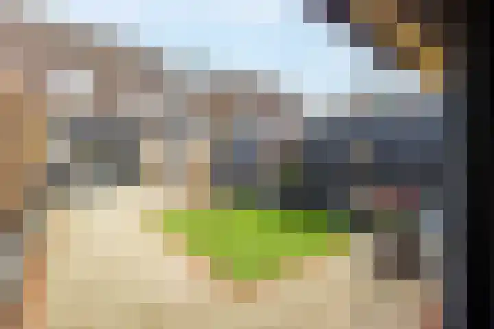 Laan van Welgelegen 161 Werkendam thumbnail 38