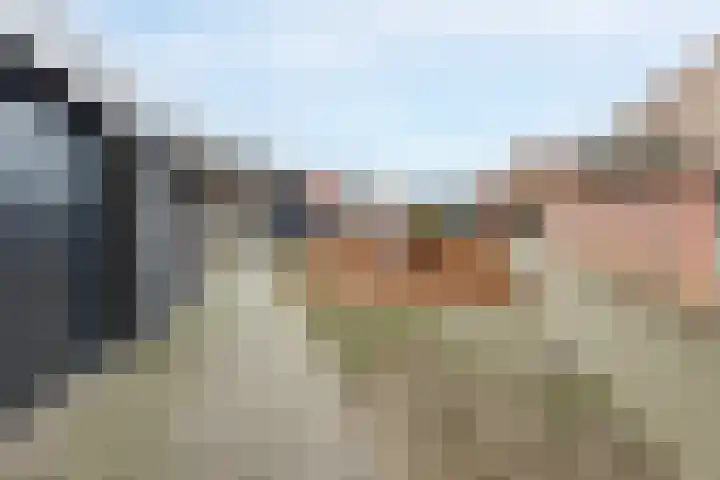 Laan van Welgelegen 161 Werkendam thumbnail 39
