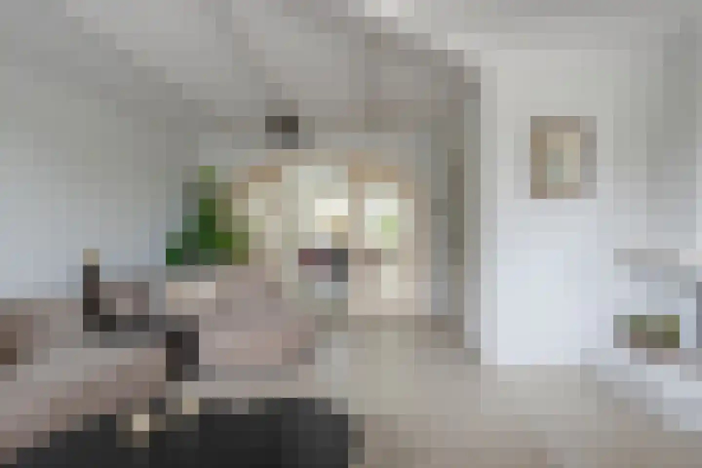 Laan van Welgelegen 68 Werkendam thumbnail 10