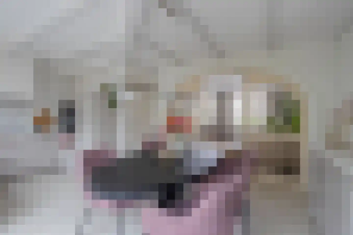 Laan van Welgelegen 68 Werkendam thumbnail 14
