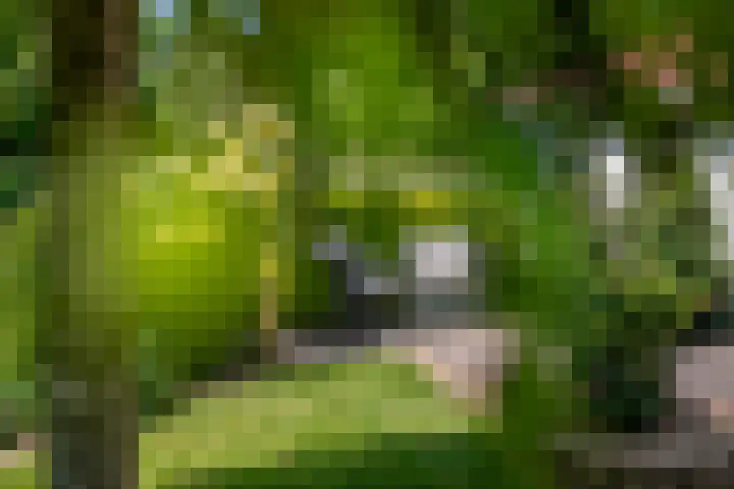 Laan van Welgelegen 68 Werkendam thumbnail 22