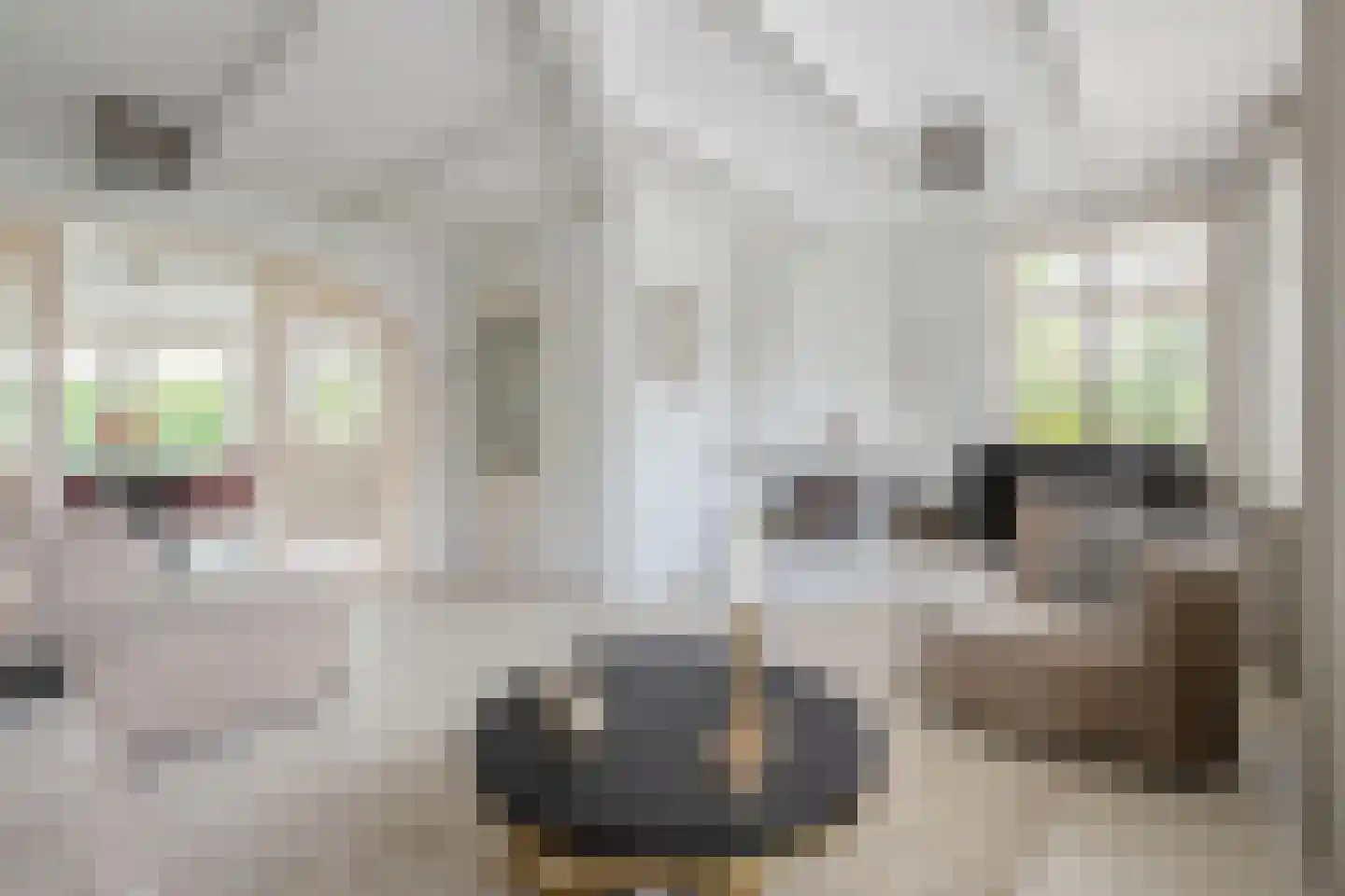 Laan van Welgelegen 68 Werkendam thumbnail 8