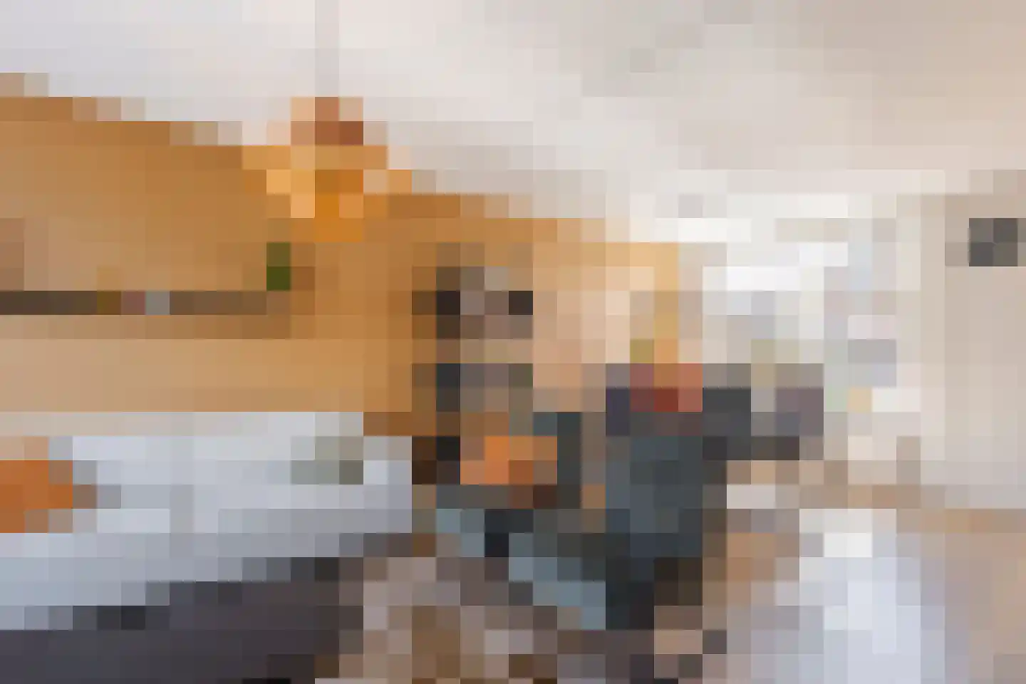 Laan van Welgelegen 73 Werkendam thumbnail 14