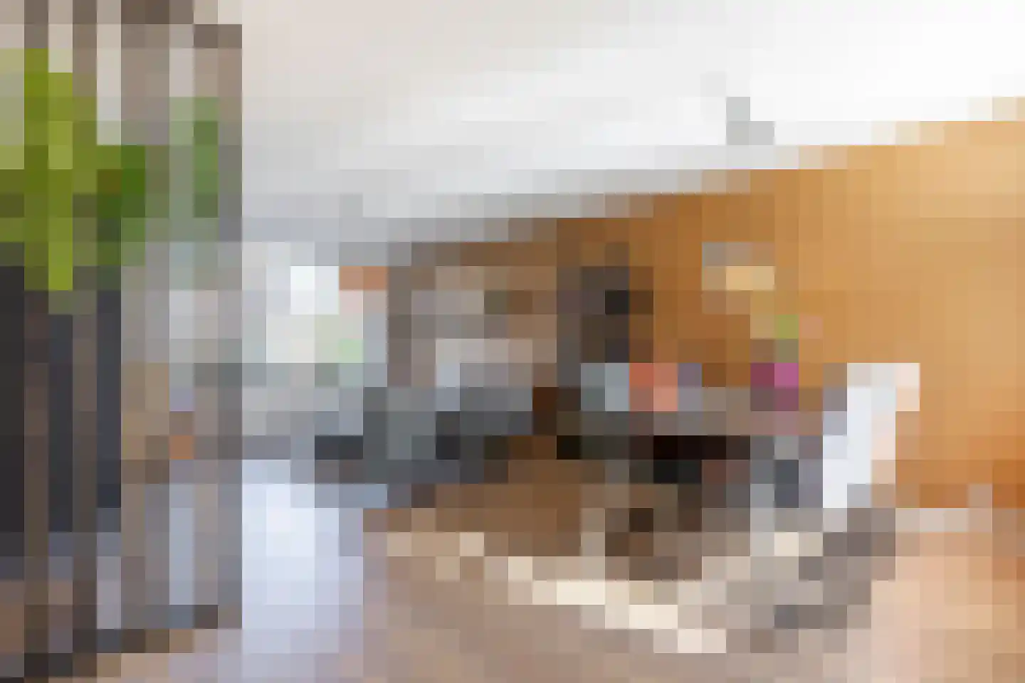 Laan van Welgelegen 73 Werkendam thumbnail 16