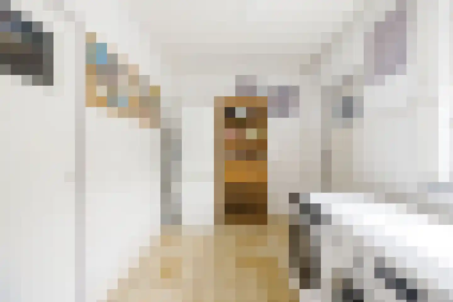 Laan van Wervenhove 3 Serooskerke thumbnail 22