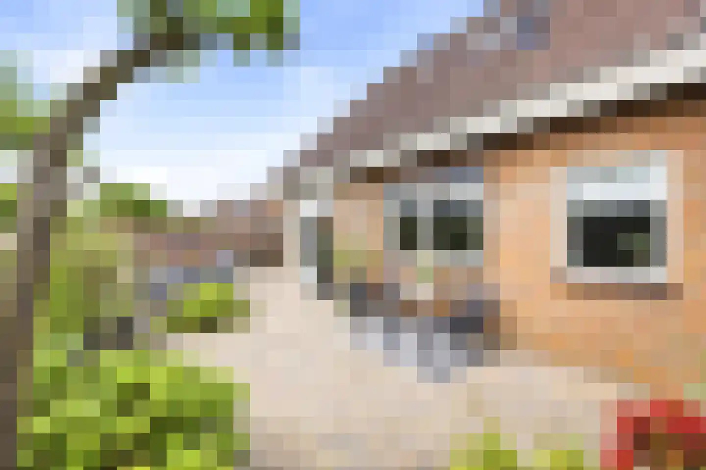 Laan van Wervenhove 3 Serooskerke thumbnail 24