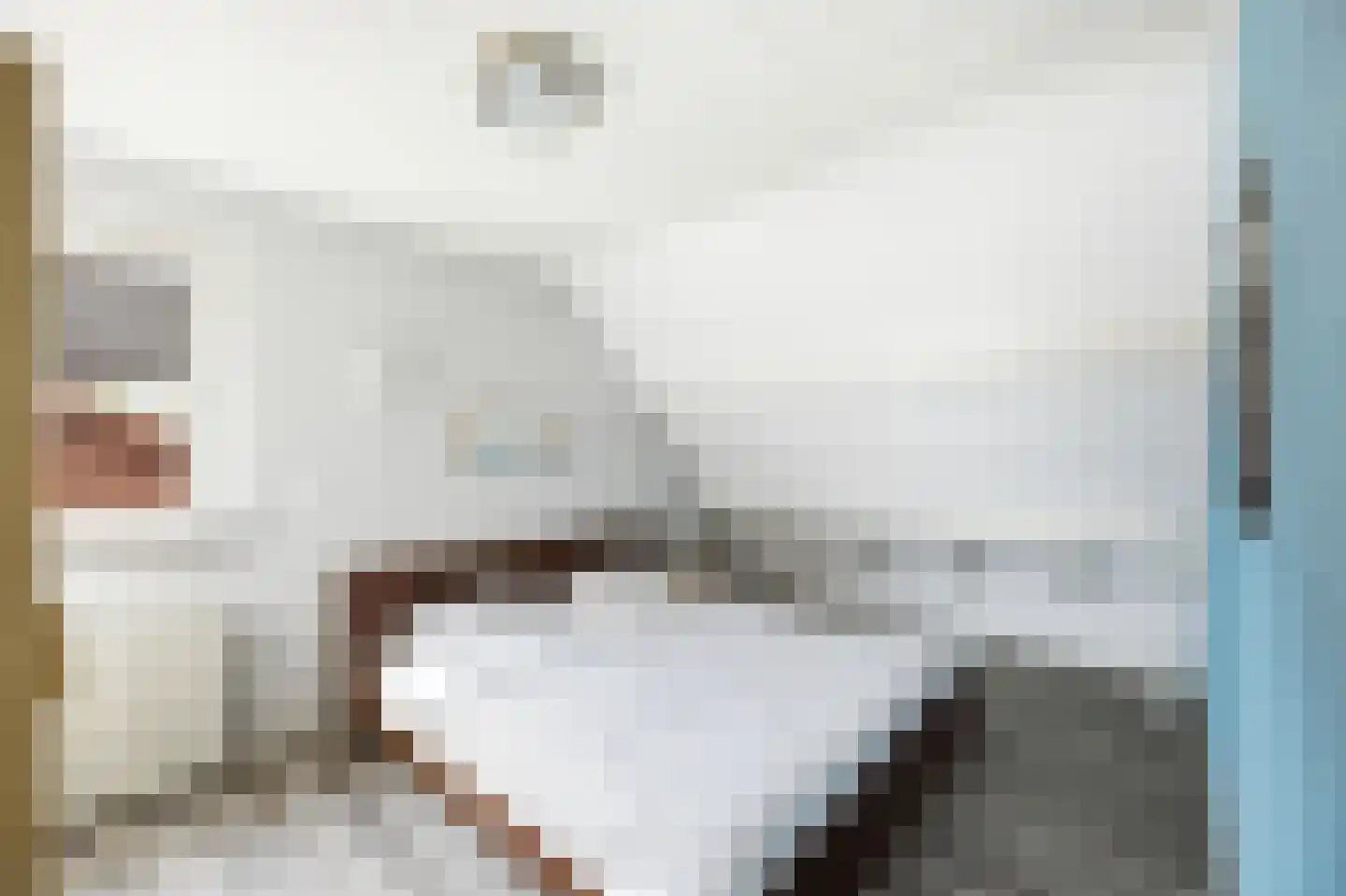 Laan van Wervenhove 3 Serooskerke thumbnail 37