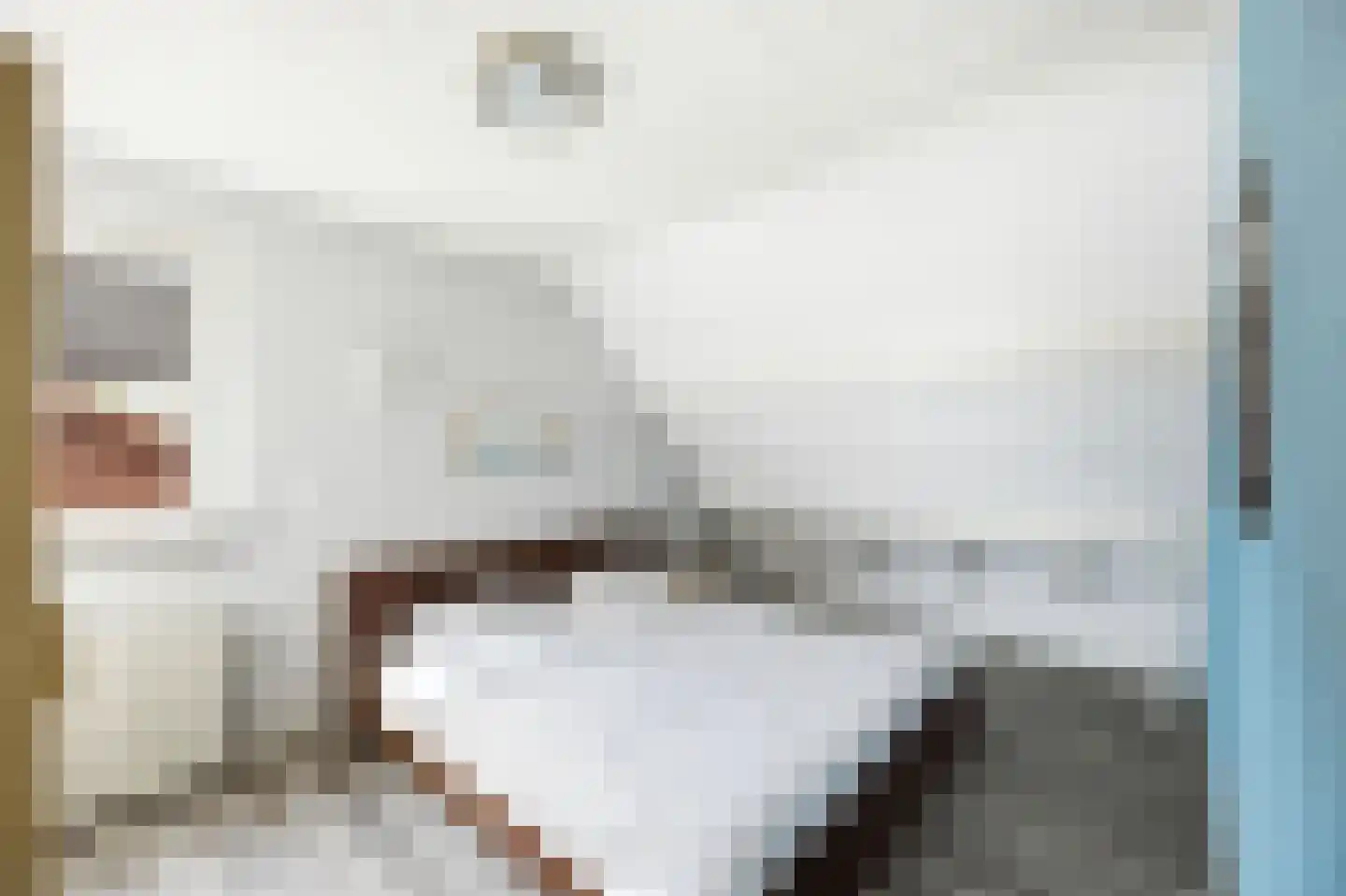 Laan van Wervenhove 3 Serooskerke thumbnail 38