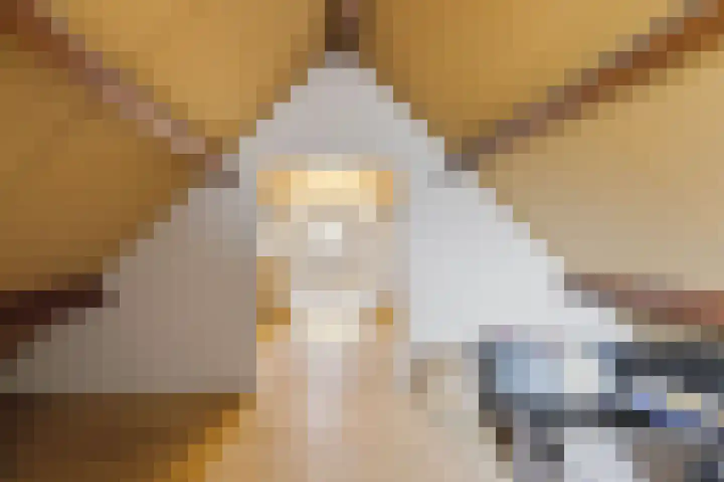 Laan van Wervenhove 3 Serooskerke thumbnail 48