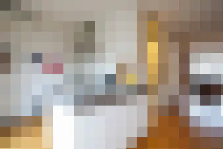 Laan van Westfalen 11 Geleen thumbnail 11