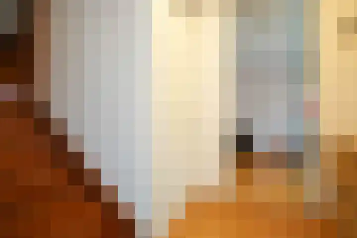 Laan van Westfalen 11 Geleen thumbnail 14