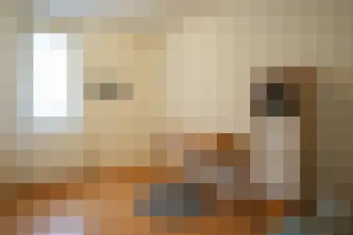 Laan van Westfalen 11 Geleen thumbnail 21