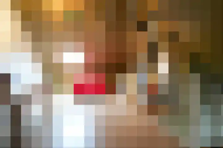 Laan van Westfalen 11 Geleen thumbnail 27