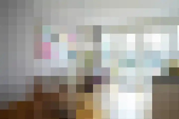 Laan van Westfalen 11 Geleen thumbnail 8