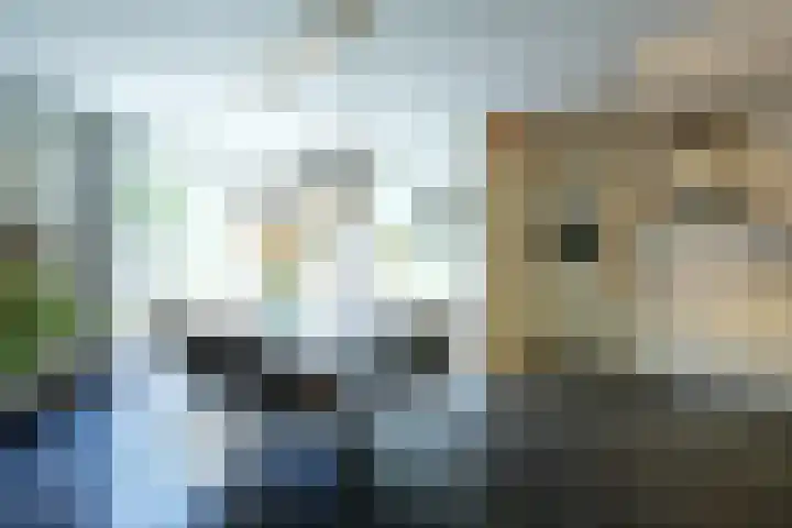 Laan van Westfalen 120 Geleen thumbnail 11