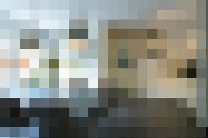 Laan van Westfalen 120 Geleen thumbnail 12