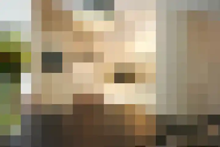 Laan van Westfalen 120 Geleen thumbnail 13