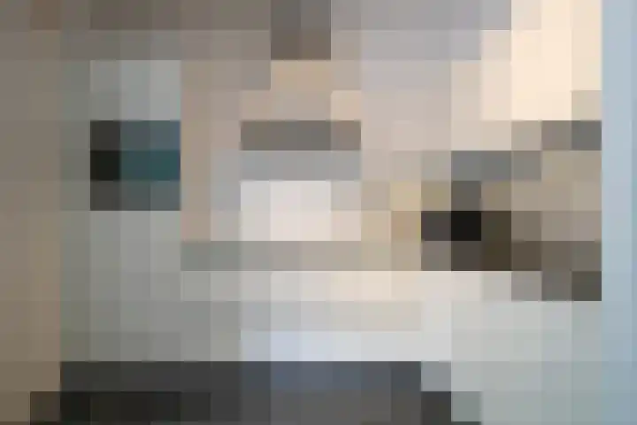 Laan van Westfalen 120 Geleen thumbnail 14