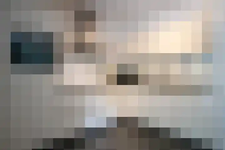 Laan van Westfalen 120 Geleen thumbnail 15