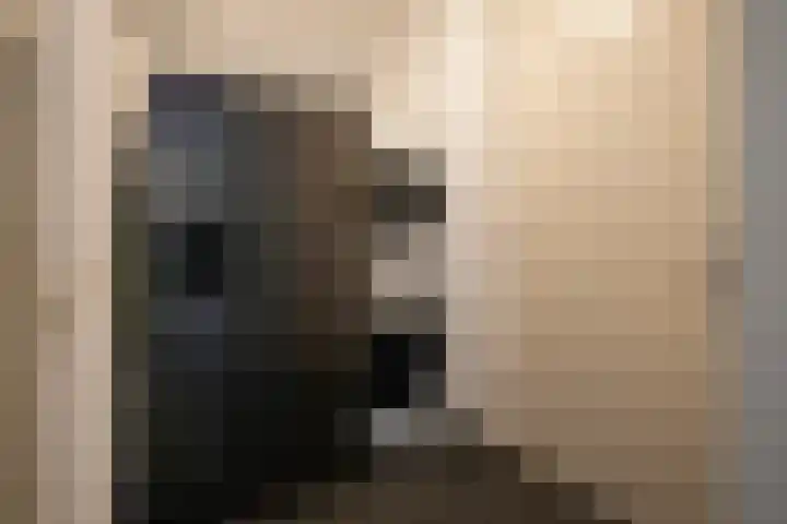 Laan van Westfalen 120 Geleen thumbnail 17
