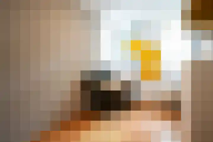 Laan van Westfalen 120 Geleen thumbnail 20