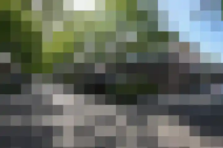 Laan van Westfalen 120 Geleen thumbnail 39