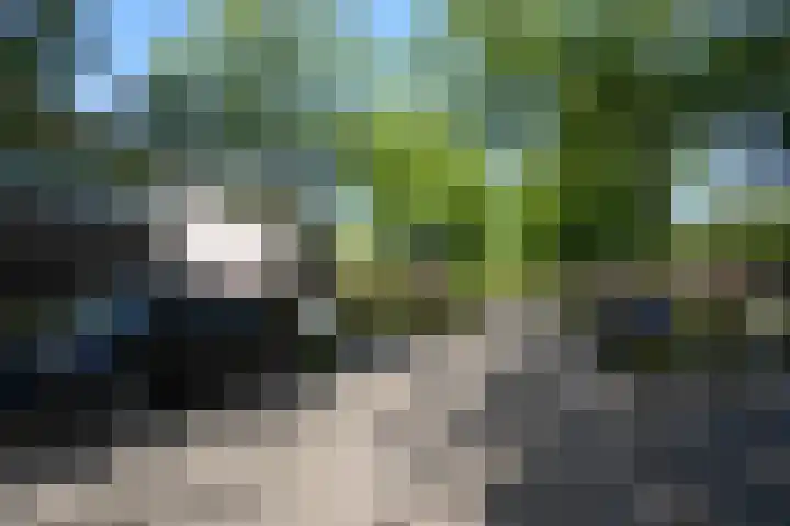 Laan van Westfalen 120 Geleen thumbnail 40