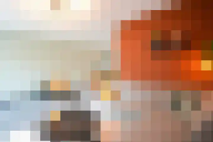 Laan van Westfalen 120 Geleen thumbnail 8