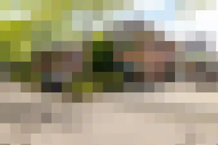 Laan van Westfalen 134 Geleen thumbnail 34