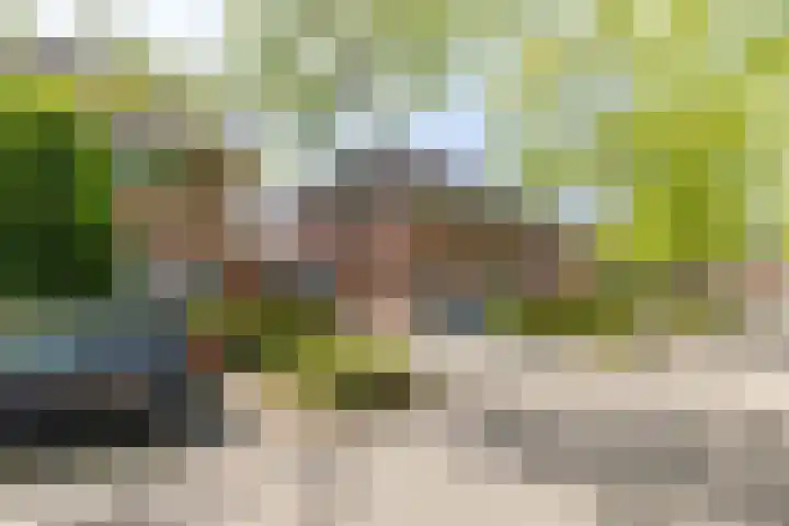 Laan van Westfalen 134 Geleen thumbnail 35