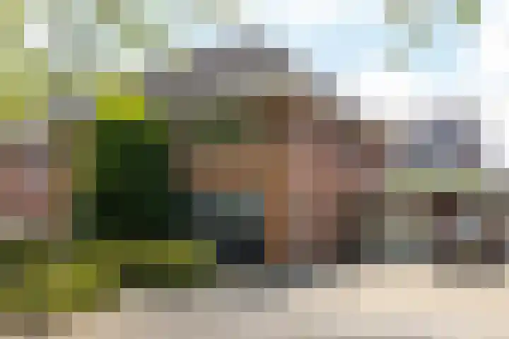 Laan van Westfalen 134 Geleen thumbnail 39