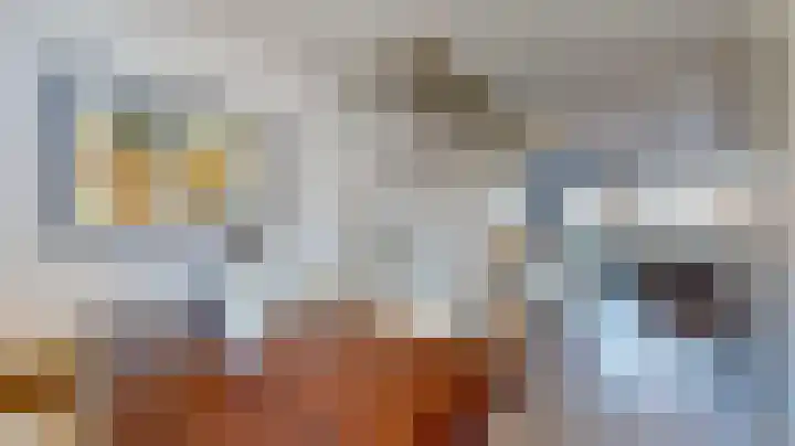 Laan van Westfalen 136 Geleen thumbnail 6
