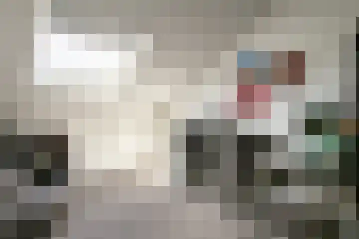 Laan van Westfalen 78 Geleen thumbnail 23