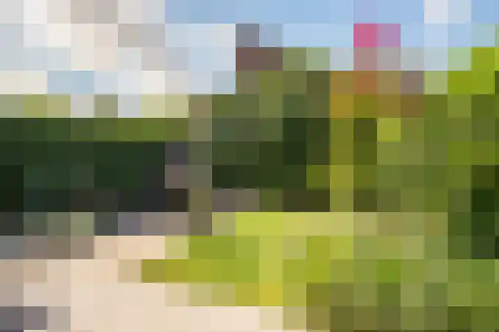 Laan van Westfalen 78 Geleen thumbnail 26