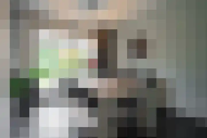 Laan van Westfalen 78 Geleen thumbnail 7