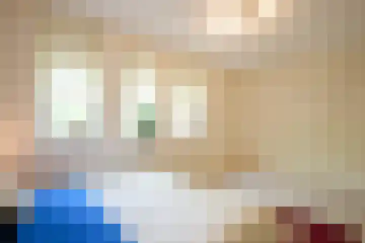 Laan van Westfalen 90 Geleen thumbnail 22