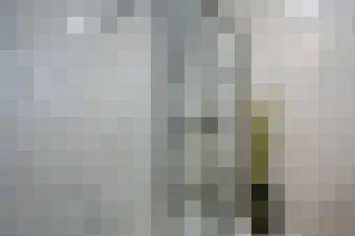 Laan van Westfalen 90 Geleen thumbnail 27