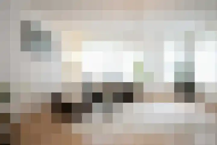 Laan van Westfalen 90 Geleen thumbnail 5