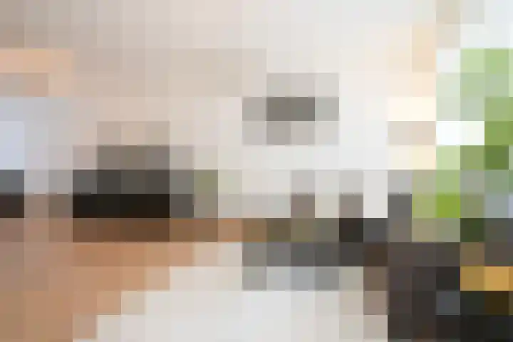 Laan van Westfalen 90 Geleen thumbnail 9