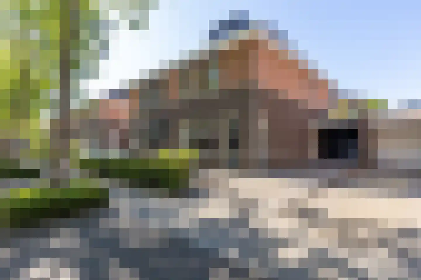Laan van Westfalen 92 Geleen thumbnail 6