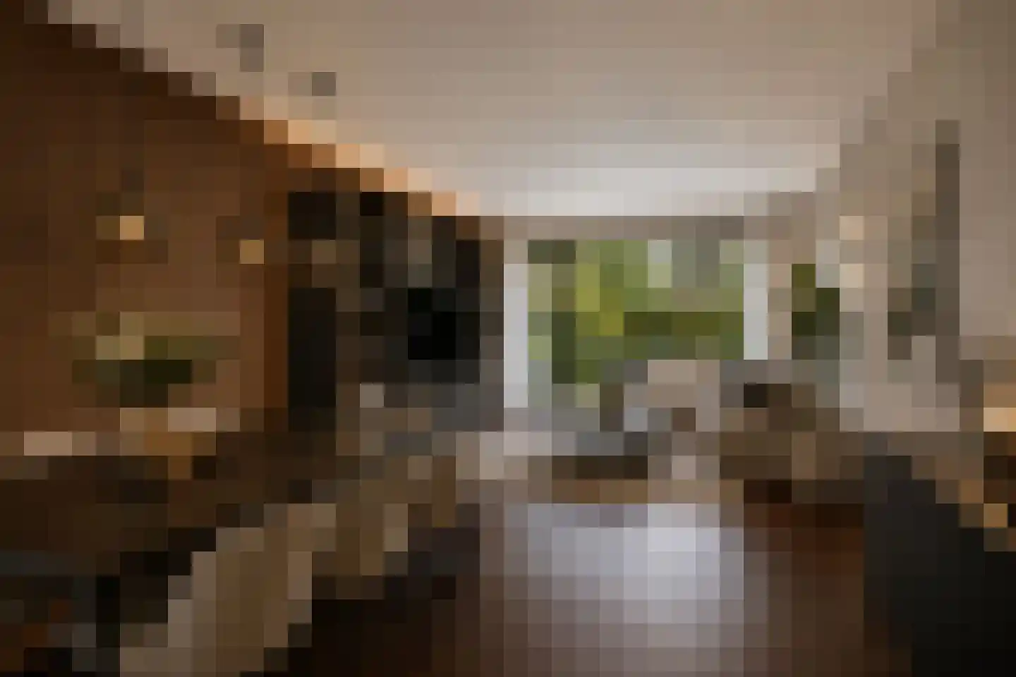 Laan van Westmolen 25 Mijnsheerenland thumbnail 12