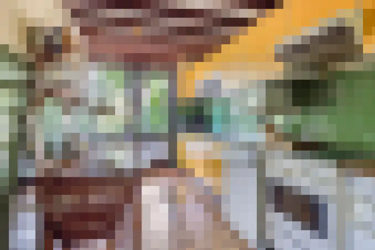 Laan van Westmolen 25 Mijnsheerenland thumbnail 15