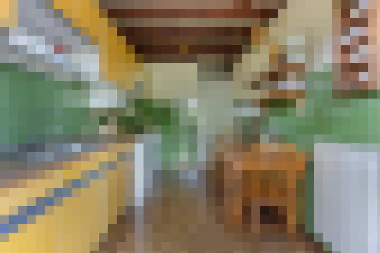 Laan van Westmolen 25 Mijnsheerenland thumbnail 17