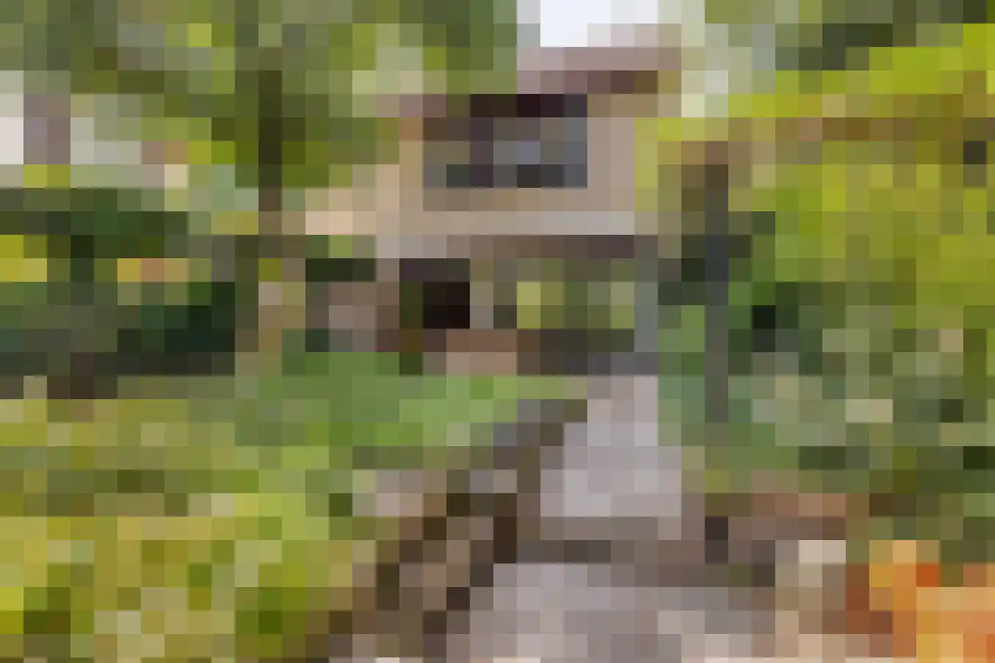 Laan van Westmolen 25 Mijnsheerenland foto 2