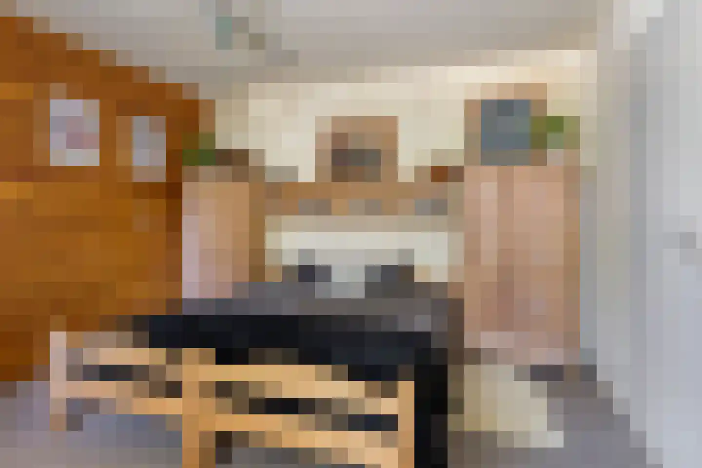 Laan van Westmolen 25 Mijnsheerenland thumbnail 20