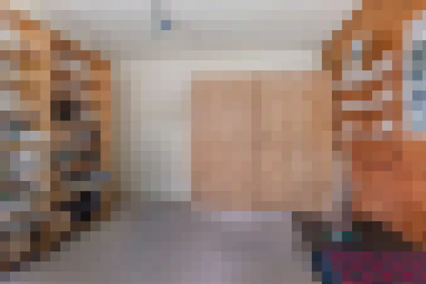Laan van Westmolen 25 Mijnsheerenland thumbnail 21