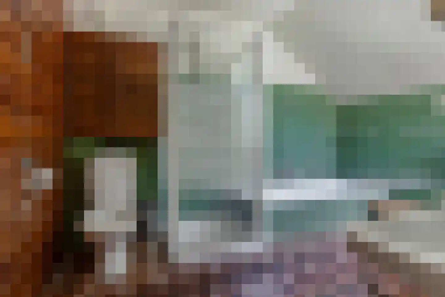 Laan van Westmolen 25 Mijnsheerenland thumbnail 22