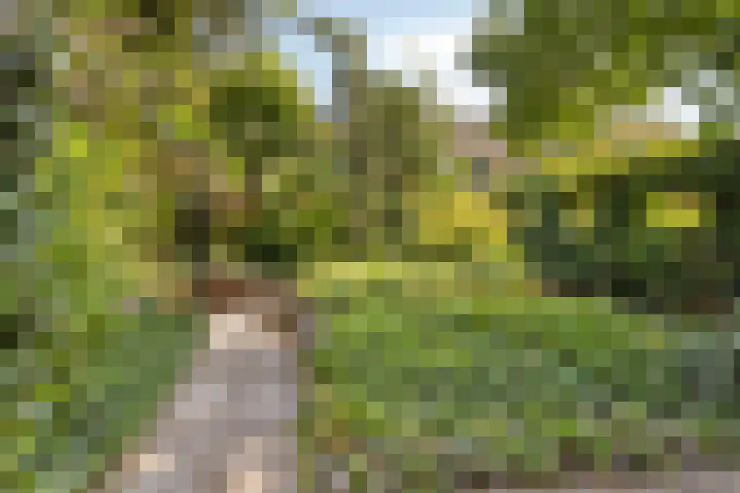 Laan van Westmolen 25 Mijnsheerenland thumbnail 31